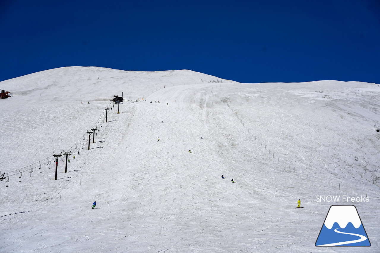 ニセコグラン・ヒラフ DYNASTAR SKI TEST RIDE DAYS Photo Session!!最高の天気に恵まれたニセコに、最高の仲間たちが集まりました☆